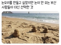 부산 사람들 눈오리 근황 - 뽐뿌:자유게시판 부산 사람들 눈오리 근황