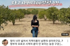 100만평 농장.. - 뽐뿌:자유게시판 100만평 농장..