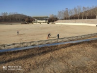공원운동장에서 땅파고 게이트볼하는거 그닥 - 뽐뿌:자유게시판 공원운동장에서 땅파고 게이트볼하는거 그닥