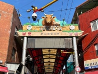 마장동 축산시장 처음 가봤는데 신기하네요 - 뽐뿌:자유게시판 마장동 축산시장 처음 가봤는데 신기하네요
