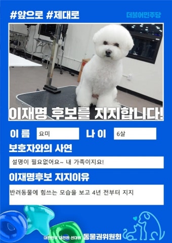 [이재명 호재 터짐] 동물들의 지지 선언 이어짐 (feat. 고민정) - 뽐뿌:정치자유게시판 [이재명 호재 터짐] 동물들의 지지 선언 이어짐 (feat....