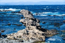 호미곶 독수리바위 - 뽐뿌:자유갤러리 호미곶 독수리바위