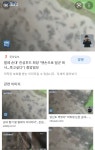 진성푸드 근황 - 뽐뿌:자유게시판 진성푸드 근황