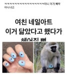 여자들이 원래 이렇게 예민함? - 뽐뿌:유머/감동 여자들이 원래 이렇게 예민함?
