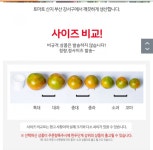 인터넷 토마토 구입문의 - 뽐뿌:질문/요청 인터넷 토마토 구입문의