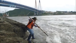 진도 울돌목에서 숭어 잡는 방법..gif - 뽐뿌:자유게시판 진도 울돌목에서 숭어 잡는 방법..gif