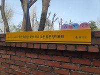 서울 노량진 초등학교 안심통학로에 있는 좋은 문구들 - 뽐뿌:자유게시판 서울 노량진 초등학교 안심통학로에 있는 좋은 문구들