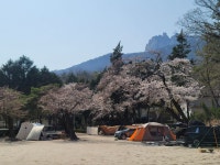 도봉산숲속 캠핑장입니다 - 뽐뿌:캠핑포럼 도봉산숲속 캠핑장입니다