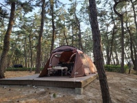 강릉 연곡솔향기캠핑장 20220409-10 - 뽐뿌:캠핑포럼 강릉 연곡솔향기캠핑장 20220409-10