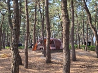 강릉 연곡솔향기캠핑장 20220409-10 - 뽐뿌:캠핑포럼 강릉 연곡솔향기캠핑장 20220409-10