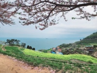 통영,거제 여행다녀왔습니다. 짤방 용량 주의 - 뽐뿌:여행포럼 통영,거제 여행다녀왔습니다. 짤방 용량 주의