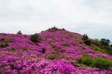 20220430 보성 초암산 - 뽐뿌:등산포럼 20220430 보성 초암산