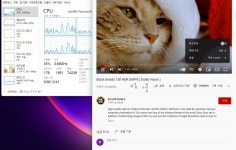 인텔 팬티엄 골드 G7400 롤 훈련기. - 뽐뿌:PC/인터넷 인텔 팬티엄 골드 G7400 롤 훈련기.