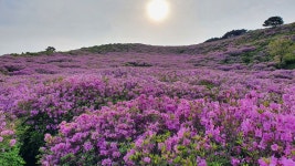 황매산 오토캠핑장 다녀 왔습니다. - 뽐뿌:캠핑포럼 황매산 오토캠핑장 다녀 왔습니다.