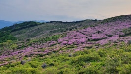 황매산 오토캠핑장 다녀 왔습니다. - 뽐뿌:캠핑포럼 황매산 오토캠핑장 다녀 왔습니다.