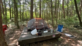 서귀포 자연휴양림에서 백패킹 중입니다! - 뽐뿌:캠핑포럼 서귀포 자연휴양림에서 백패킹 중입니다!