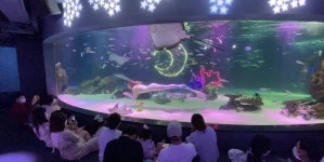 63 아쿠아넷 - 뽐뿌:자유갤러리 63 아쿠아넷