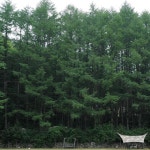 휘게 포레스트 다녀왔습니다. - 뽐뿌:캠핑포럼 휘게 포레스트 다녀왔습니다.