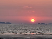 태안 노을길 트레킹 22.06.11(데이터 주의) - 뽐뿌:등산포럼 태안 노을길 트레킹 22.06.11(데이터 주의)