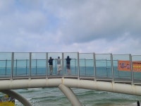 (추천함)대천해수욕장 갔다왔네요 - 뽐뿌:자유게시판 (추천함)대천해수욕장 갔다왔네요