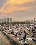 날씨 최고였던 저번 주말 여의도 한강 공원 근황.jpg - 뽐뿌:자유게시판 날씨 최고였던 저번 주말 여의도 한강 공원 근황.jpg