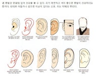 최고의 관상과 최악의 관상 - 뽐뿌:자유게시판 최고의 관상과 최악의 관상