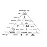 여자 명품 브랜드 계급도.jpg - 뽐뿌:자유게시판 여자 명품 브랜드 계급도.jpg