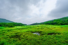 강원도 인제 대암산 두번 다녀온 후기(금강산 조망과 큰용늪, 데이터주의) - 뽐뿌:등산포럼 강원도 인제 대암산 두번 다녀온 후기(금강산 조망과... 