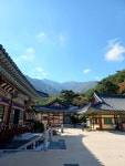 울산 석남사 - 뽐뿌:자유갤러리 울산 석남사