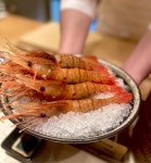 도하 새우 - 뽐뿌:자유갤러리 도하 새우