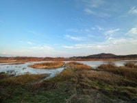문경 영강 루어낚시 꽝치고 왔습니다 - 뽐뿌:낚시포럼 문경 영강 루어낚시 꽝치고 왔습니다