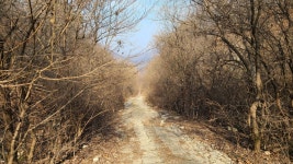 철원 소이산, 사문안골~연천 보개산 산행기 입니다.(2022.1124(스압)) - 뽐뿌:등산포럼 철원 소이산, 사문안골~연천 보개산... 