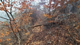 철원 소이산, 사문안골~연천 보개산 산행기 입니다.(2022.1124(스압)) - 뽐뿌:등산포럼 철원 소이산, 사문안골~연천 보개산... 