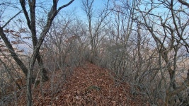 철원 소이산, 사문안골~연천 보개산 산행기 입니다.(2022.1124(스압)) - 뽐뿌:등산포럼 철원 소이산, 사문안골~연천 보개산... 