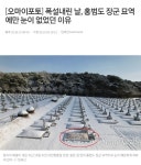 홍범도 장군 묘에만 눈이 없었던 이유 - 뽐뿌:자유게시판 홍범도 장군 묘에만 눈이 없었던 이유