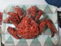 연안부두에서 사온 오늘의 저녁 - 뽐뿌:자유게시판 연안부두에서 사온 오늘의 저녁