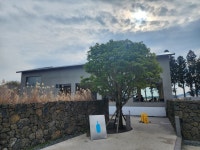제주 블루보틀 - 뽐뿌:자유게시판 제주 블루보틀