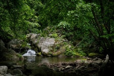 뒤늦은 휘게 포레스트 캠핑 후기 (사진많음) - 뽐뿌:캠핑포럼 뒤늦은 휘게 포레스트 캠핑 후기 (사진많음)