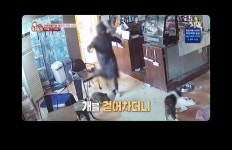 동물농장에서 동물학대카페 행정처분했네요. - 뽐뿌:자유게시판 동물농장에서 동물학대카페 행정처분했네요.