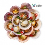 [11번가] (28%즉시할인) 산지 직발송하여 더 신선! 통영 최상급 활 가리비 2kg 40-60미!! - 뽐뿌:MD뽐뿌 [11번가] (28%즉시할인) 산지... 