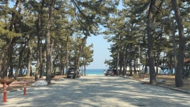 강릉 연곡 솔향기 (천국) 왔어요 : ) (석달만이네요) - 뽐뿌:캠핑포럼 강릉 연곡 솔향기 (천국) 왔어요 : ) (석달만이네요)