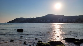 [부산/영변횟집] 세꼬시 우럭구이 - 뽐뿌:맛집포럼 [부산/영변횟집] 세꼬시 우럭구이