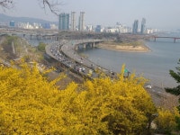 달맞이근린공원 - 뽐뿌:자유갤러리 달맞이근린공원