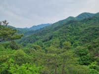 포천 길매봉 - 청계산 다녀왔습니다. (사진 많음) - 뽐뿌:등산포럼 포천 길매봉 - 청계산 다녀왔습니다. (사진 많음)