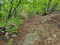 포천 길매봉 - 청계산 다녀왔습니다. (사진 많음) - 뽐뿌:등산포럼 포천 길매봉 - 청계산 다녀왔습니다. (사진 많음)