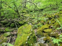 포천 길매봉 - 청계산 다녀왔습니다. (사진 많음) - 뽐뿌:등산포럼 포천 길매봉 - 청계산 다녀왔습니다. (사진 많음)