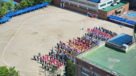 고등학교 체육대회 - 뽐뿌:자유게시판 고등학교 체육대회