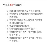여자가 호감이 있을 때 vs. 없을 때 - 뽐뿌:유머/감동 여자가 호감이 있을 때 vs. 없을 때