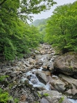 지리산 칠선계곡 후기입니다. (5월13일 토요일) - 뽐뿌:등산포럼 지리산 칠선계곡 후기입니다. (5월13일 토요일)