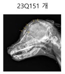 [혐주의] 동물농장에 나온 개 100마리 생매장한 신종 펫샵 사건 - 뽐뿌:자유게시판 [혐주의] 동물농장에 나온 개 100마리 생매장한 신종 펫샵 사건